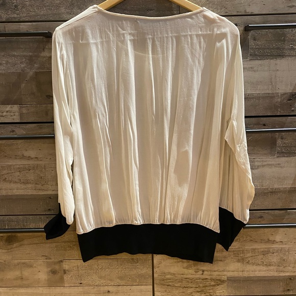 Zara Basic Blouse - Picture 4 of 5